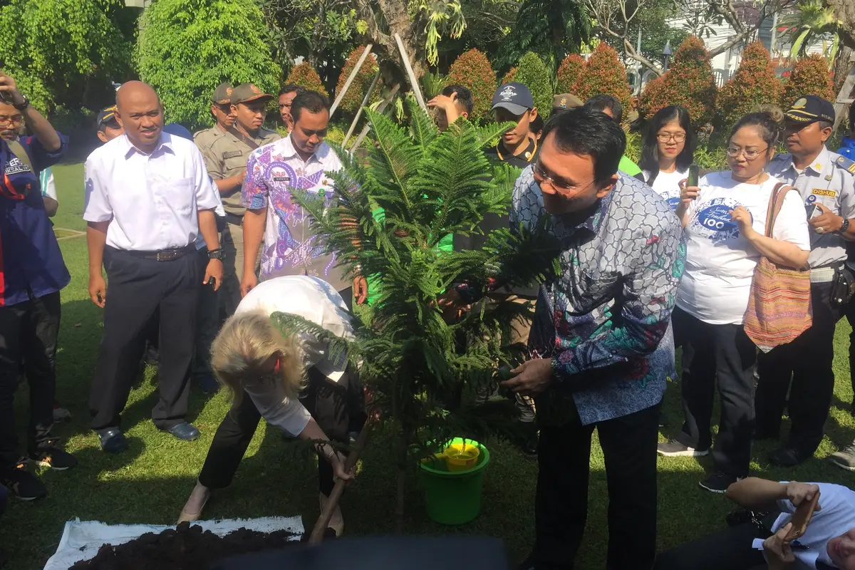 Ahok Bersama Dubes Finlandia Tanam Pohon Di Menteng