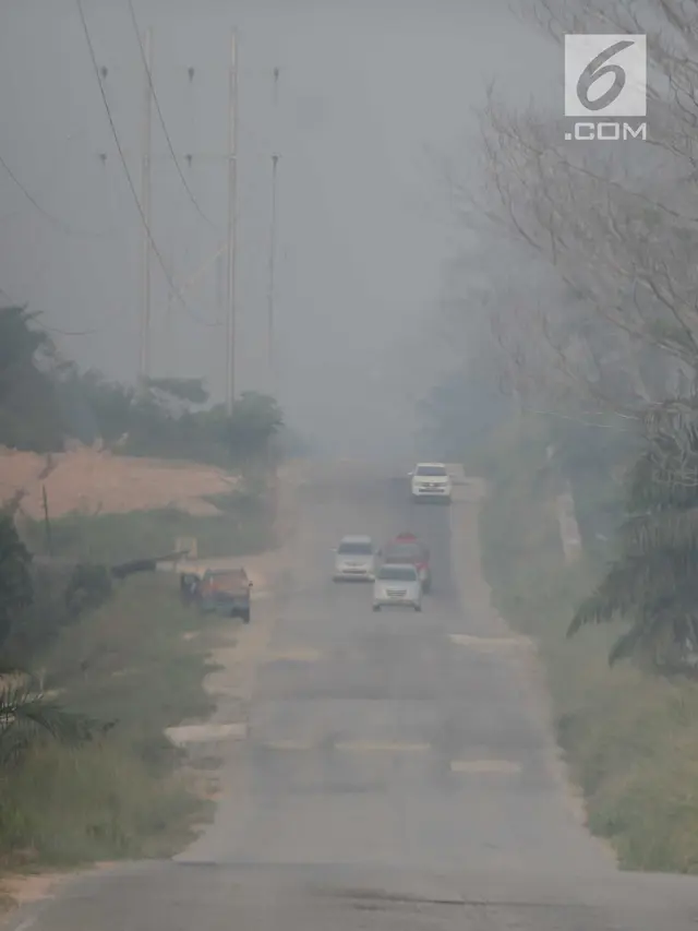 Asap Karhutla Selimuti Pekanbaru