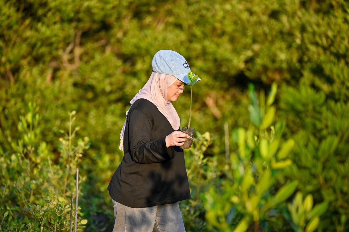 FOTO: Anak Muda Aceh Tanam Mangrove untuk Perkuat Ekosistem Pesisir