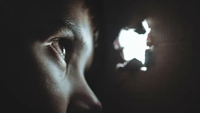 Ilustrasi/Pixabay.com