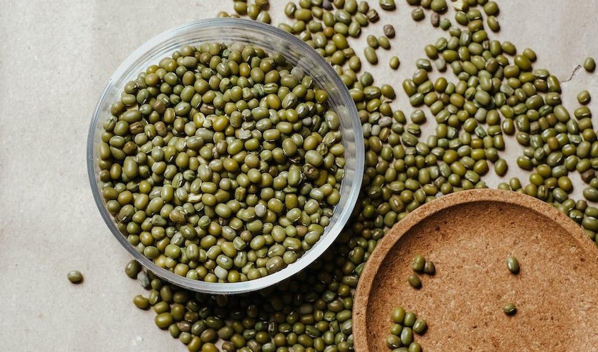 1.&nbsp;Mencegah Cacat Lahir pada Bayi: Asam folat dalam kacang hijau membantu mencegah cacat lahir, termasuk cacat tabung saraf.