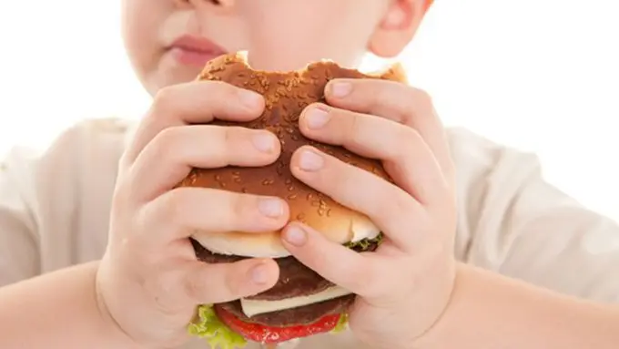 Copyright http://singaporeschild.com.sg/ingredientsnetwork