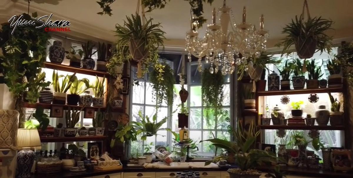 Bertema Jungle House, 8 Potret Dapur Yuni Shara yang Vintage dengan Banyak Tanaman dan Keramik