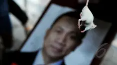 Seekor tikus dibawa pendemo saat aksi menuntut Zulkifli Hasan di Gedung KPK, Jakarta, Kamis (22/01/15). (Liputan6.com/Faisal R Syam) 