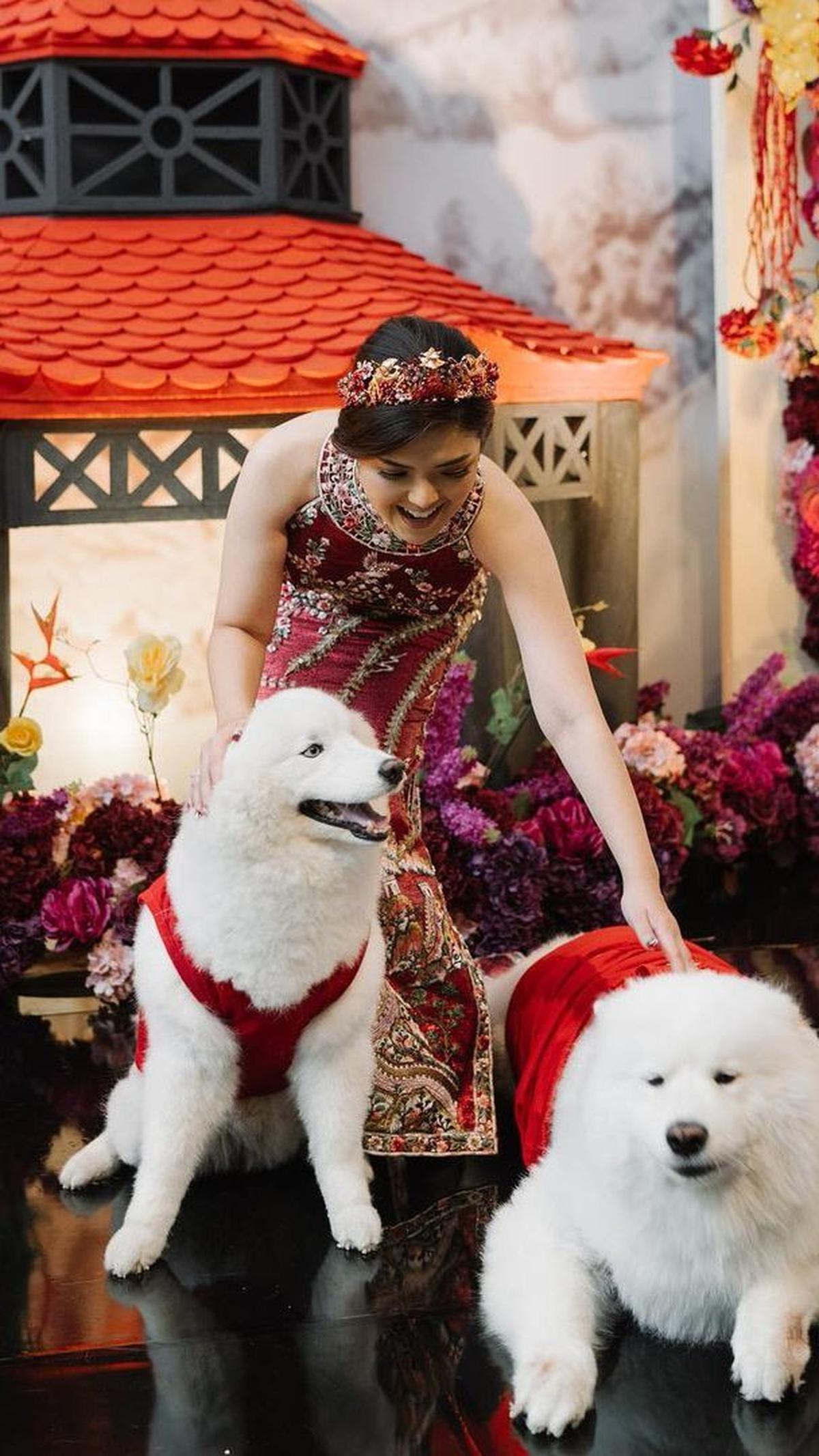 Momen menggemaskan juga terjadi saat Tina Toon asik bermain dengan kedua anjing peliharaan yang juga dihadirkan dalam acara tersebut.
