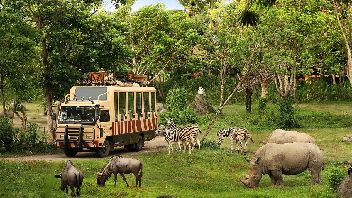 Taman Safari Indonesia Ikut Lelang Pengelola Bandung Zoo, Minta Proses Seleksi Transparan