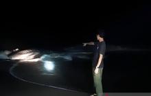 BKSDA Luruskan Kabar Hiu Paus Terdampar di Bima, Ternyata Selamat!