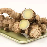 ilustrasi temu ireng/wasanajai/Shutterstock