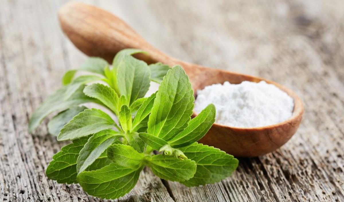 7.&nbsp;Daun Stevia