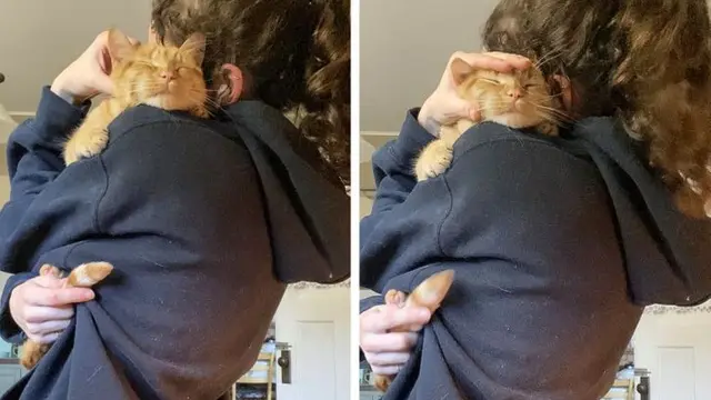 7 Potret Menggemaskan Kucing Ini Bakal Ceriakan Harimu