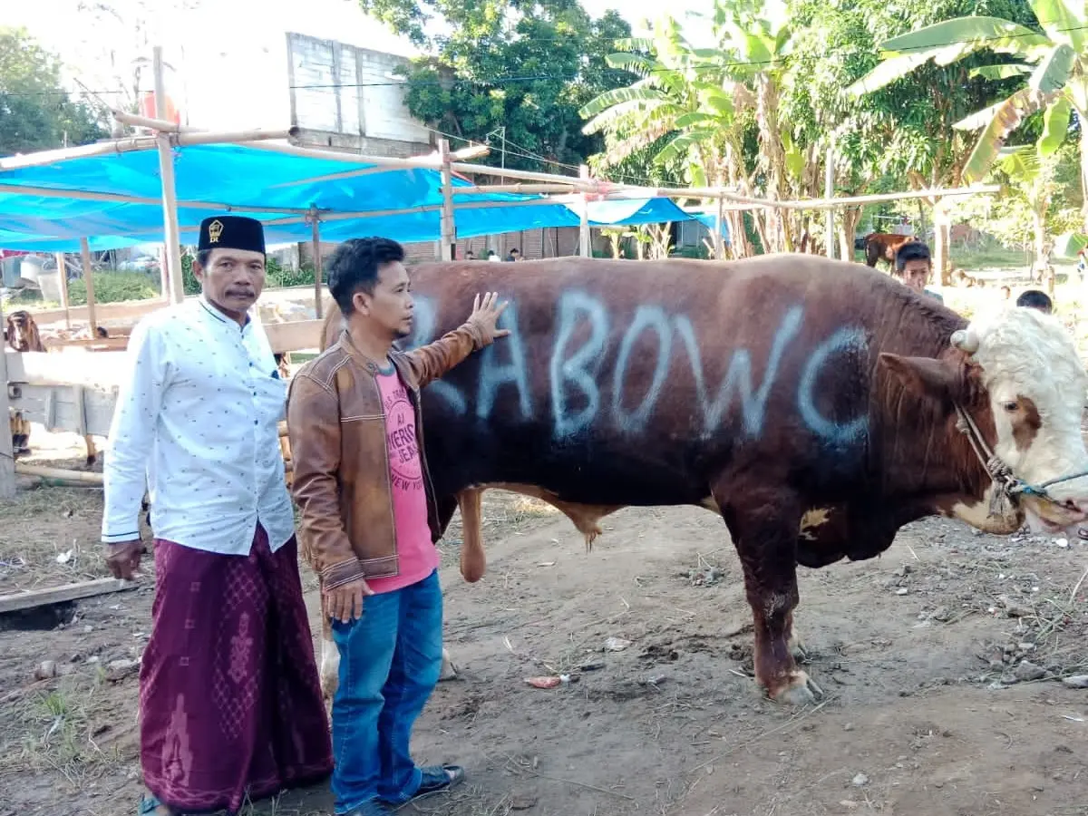 Jokowi Segera Salurkan 68 Ekor Sapi untuk Idul Adha 1445 Hijriah