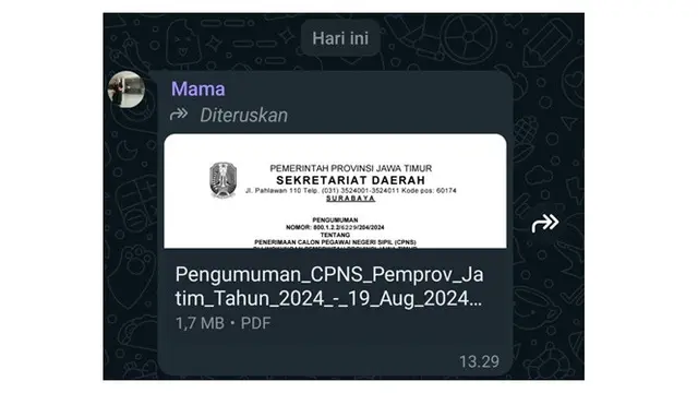 6 Chat Ibu Kirim Pengumuman CPNS ke Anak Ini Bikin Senyum Tipis
