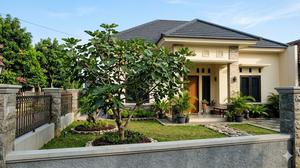 5 Kesalahan Memilih Tanaman Peneduh yang Bisa Merusak Fondasi Rumah
