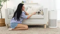 Pilihan Air Purifier Terbaik Under Sejutaan untuk Melengkapi Hunian Perkotaan
