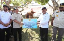 Kasatgas Tito Serahkan Bantuan Sapi Presiden Prabowo kepada Masyarakat Aceh