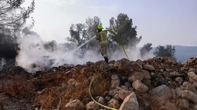Petugas Pemadam Israel Berjibaku Padamkan Kebakaran Hutan di Yerusalem