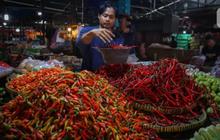 7 Tips Menyimpan Cabai Giling agar Tidak Asam dan Tetap Merah Segar