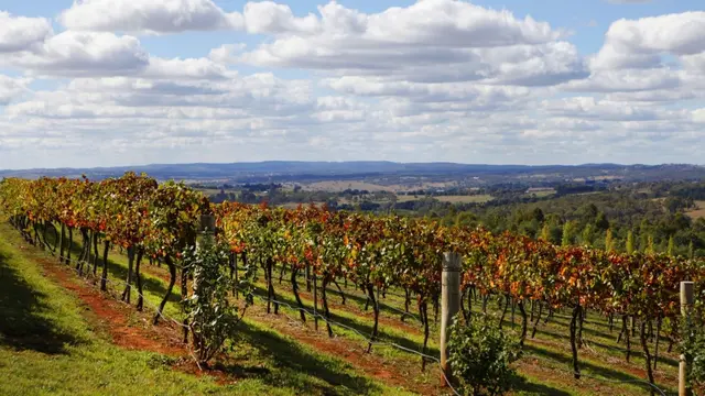 Liburan musim gugur ke Australia