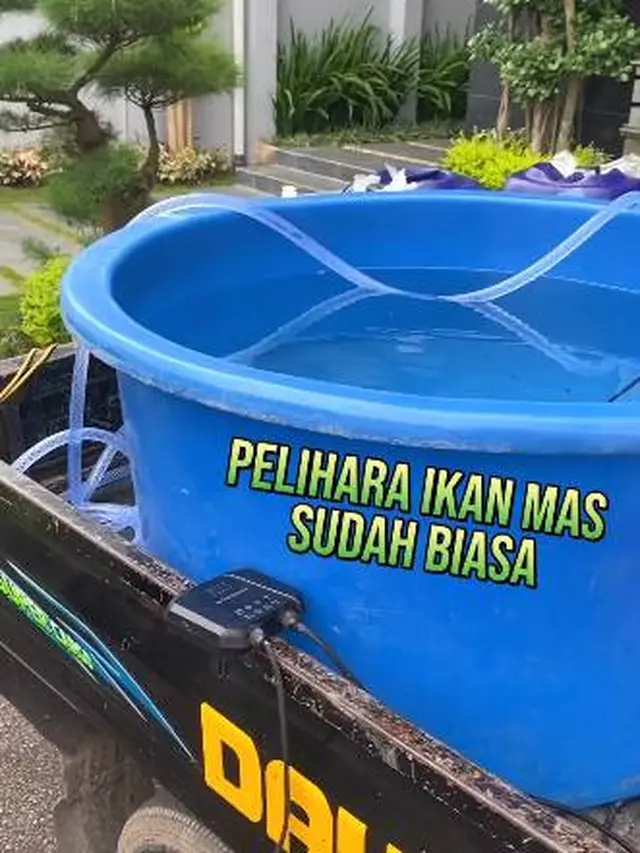 Dikecam Netizen, Ini 6 Potret dr. Richard Lee yang Pelihara Hiu
