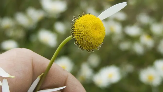 Ilustrasi. | Foto: copyright thinkstockphotos.com