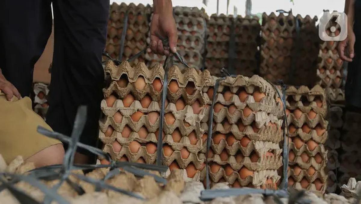 Menjelang Natal dan Tahun Baru, harga bahan kebutuhan pokok mulai merangkak naik. Salah satunya telur ayam yang mulai naik harganya di pasar Karang Tengah, Kota Tangerang. <br><br>Pekerja di pasar telur itu mulai sibuk melakukan pengemasan untuk dikirim k