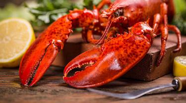 Ilustrasi lobster (iStock)