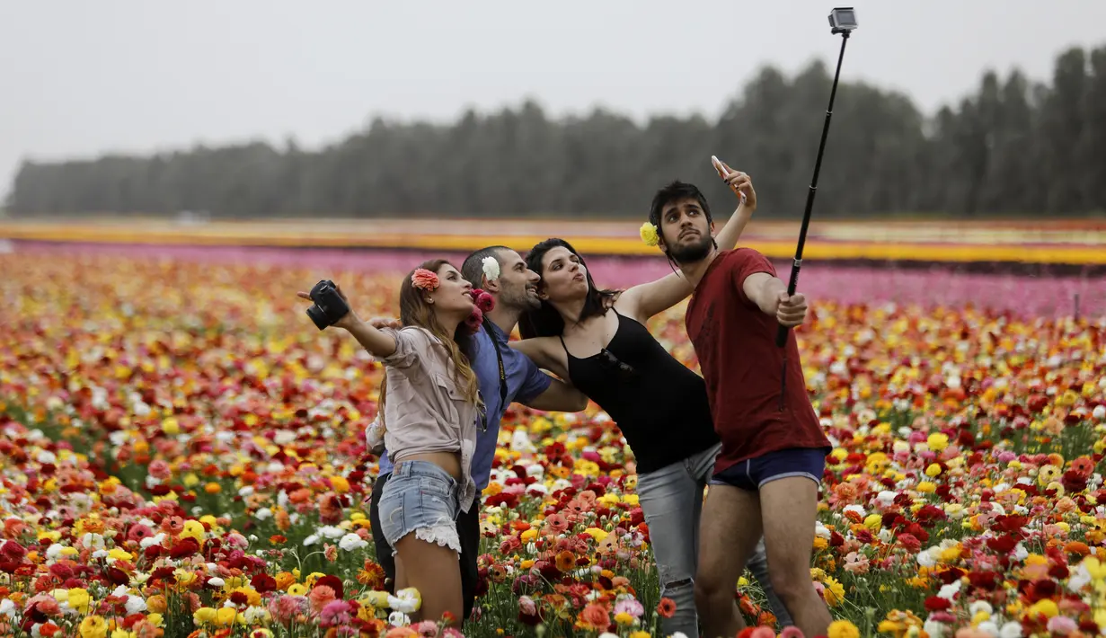 Warga Israel berpose bersama di Taman Bunga Ranunculus di Kibbutz, Nir Yitzhak, di perbatasan Israel-Jalur Gaza (12/4). Taman Bunga Ranunculus ramai didatangi warga saat hari liburan Yahudi Pesach (Paskah). (AFP PHOTO/MENAHEM KAHANA)
