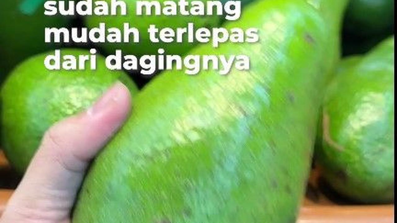 Kocok Alpukat