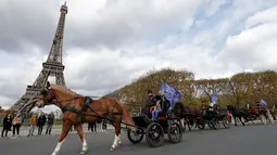 Sejumlah orang mengendarai kereta kuda melintas di depan Menara Eiffel saat mengikuti parade kuda ke-20 di Paris, Prancis (19/11). Aneka jenis kuda ikut meramaikan acara yang digelar setiap tahun ini. (AFP Photo/Thomas Samson)