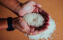 8 Manfaat Beras Porang untuk Kesehatan, Efektif Kontrol Gula Darah