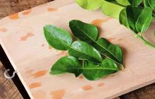 Trik Maksimalkan Aroma Daun Jeruk dalam Masakan, Wajib Dicoba di Rumah