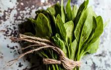 5 Makanan yang Bisa Bantu Turunkan Darah Tinggi Saat Lebaran, Mudah dan Terjangkau