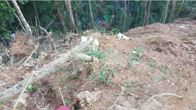Bupati Bolaang Mongondow Sebut Penutupan Tambang Kewenangan Pemprov Sulut