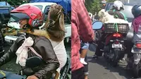 6 Potret Driver Ojek Online Antar Pesanan Kambing Kurban, Totalitas Banget (sumber: Instagram/newdramaojol.id)