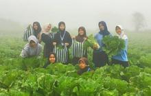 Kampung Susu Lawu Magetan Hadirkan Paket Wisata "Jika Aku Jadi Orang Desa"