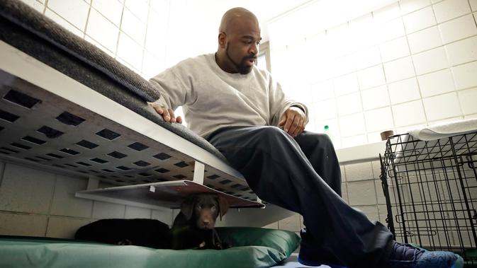 Narapidana Jonathan Ladson duduk bersama anak anjing di Penjara Merrimack County, Boscawen, New Hampshire, AS, Selasa (8/1). Narapidana di sini kebagian tugas untuk membina dan melatih anak anjing selama dua bulan ke depan. (AP Photo/Elise Amendola)