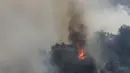 Kebakaran hutan di dekat desa Qobayat, di utara provinsi Akkar, Lebanon, Kamis (29/7/2021). Petugas pemadam kebakaran Lebanon berjuang di hari kedua untuk mengatasi kebakaran hutan di utara negara itu yang telah menyebar ke seluruh perbatasan ke Suriah. (AP Photo/Hussein Malla)