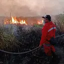 Kebakaran Way Kambas Belum Usai, Titik Api Kembali Muncul