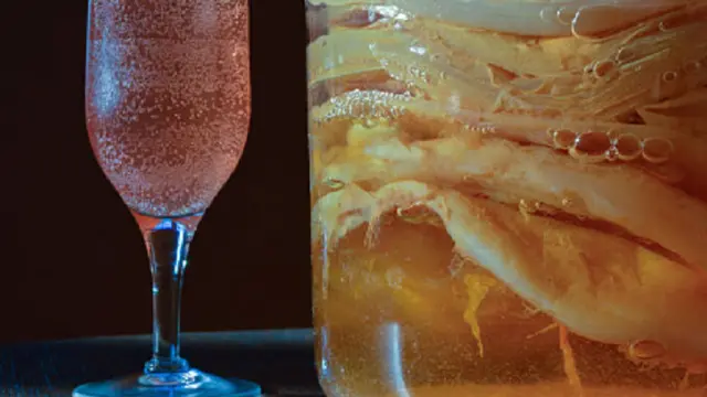 Ilustrasi teh Kombucha (iStock)