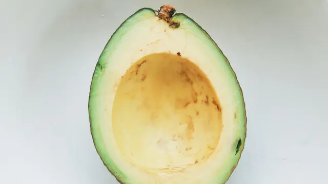 Avocado
