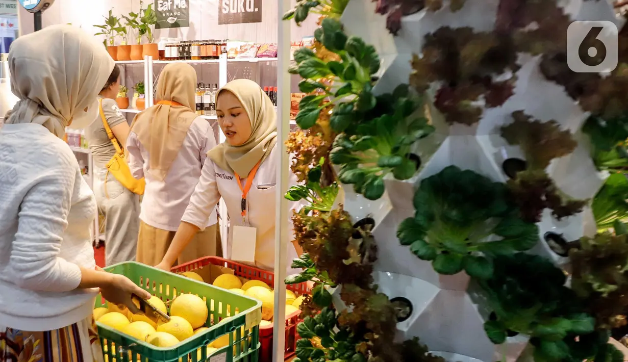 Meningkatkan produktivitas pangan melalui urban farming menjadi salah satu cara untuk memperbaiki situasi ini. (Liputan6.com/Herman Zakharia)