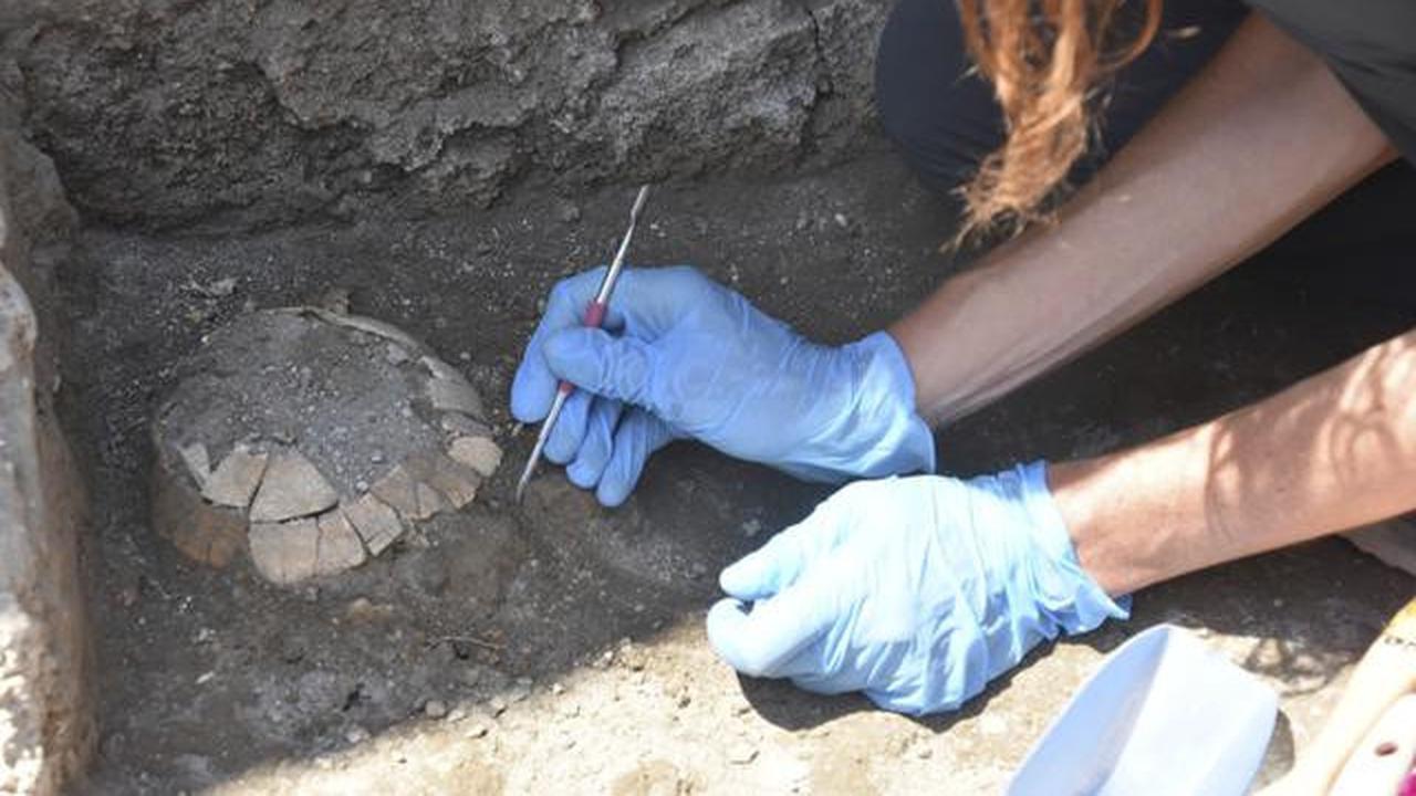 Fosil Buaya dari Zaman Dinosaurus Ditemukan di India, Usianya Diprediksi Capai 200 Juta Tahun