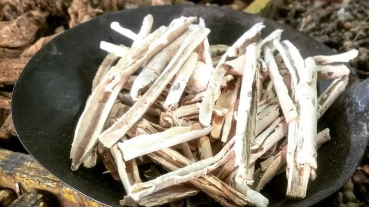 Pulosari adalah rempah untuk membuat jamu penambah nafsu makan