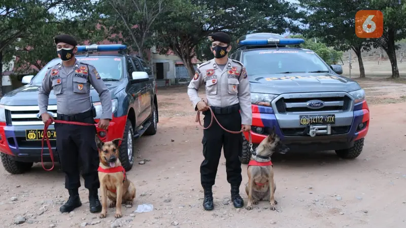 Dua anjing pintar dari Polda Sulteng yang dibawa ke Sulbar