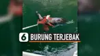 THUMBNAIL BURUNG