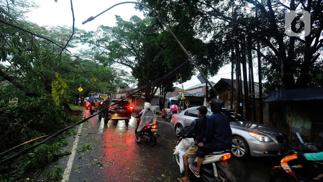 hujan es dan angin kencang menyebabkan pohon tumbang di sawangan depok