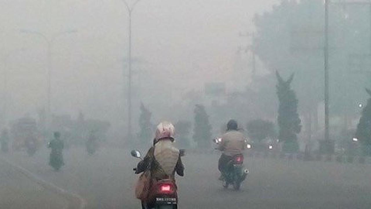 Kabut asap batalkan 59 penerbangan di Bandara SSK II Pekanbaru