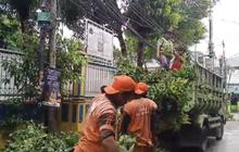 Pemangkasan Pohon Nangka di Grogol Petamburan, Sudin Tamhut Jakbar Cegah Korsleting Listrik