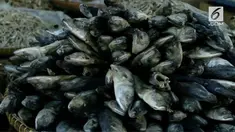 Situasi ini disebabkan harga garam yang melonjak seratus persen.