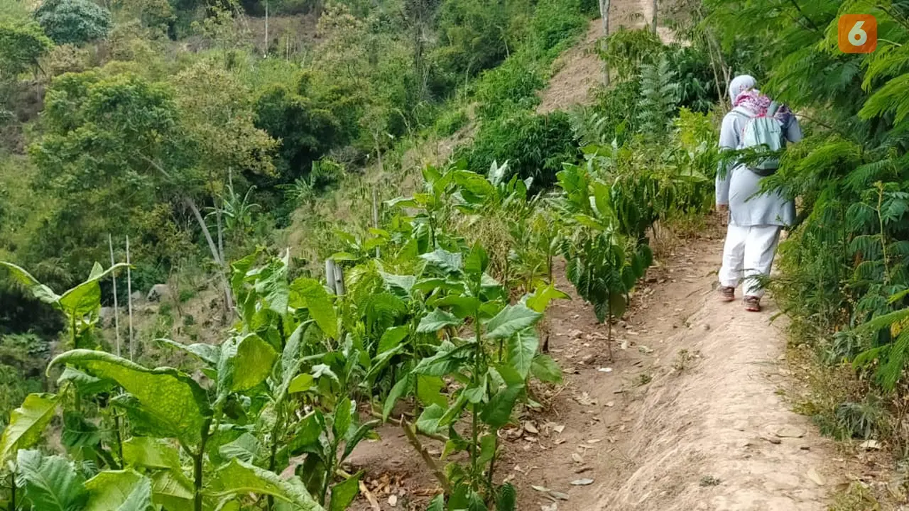 Petani Tembakau